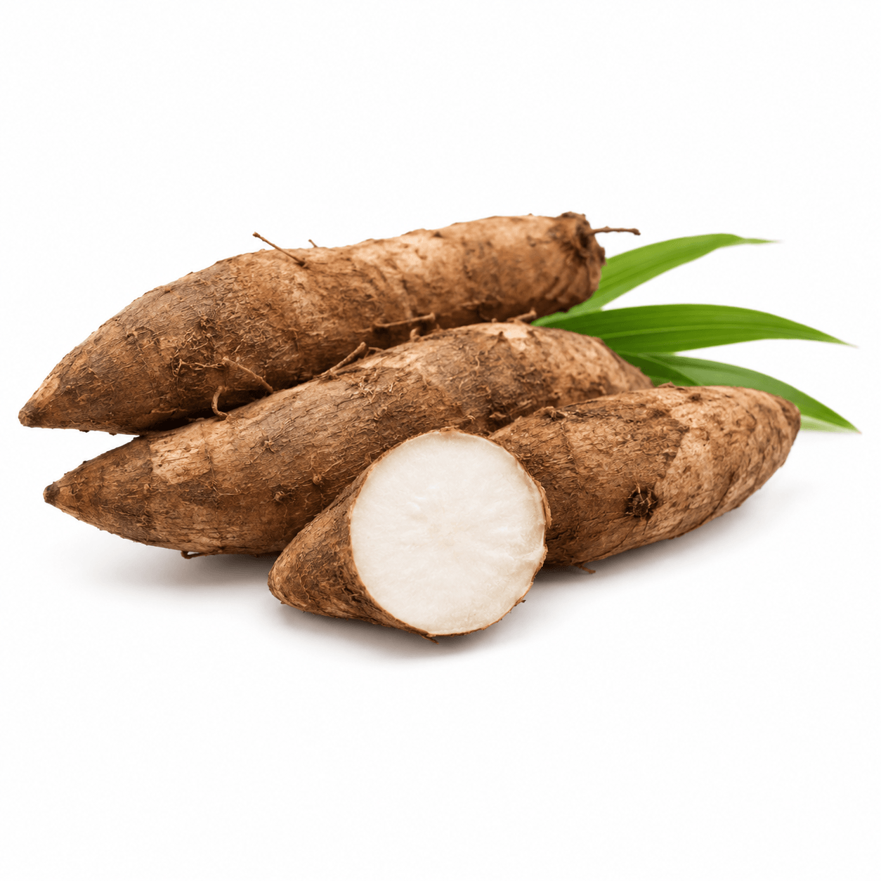 Arrow Root