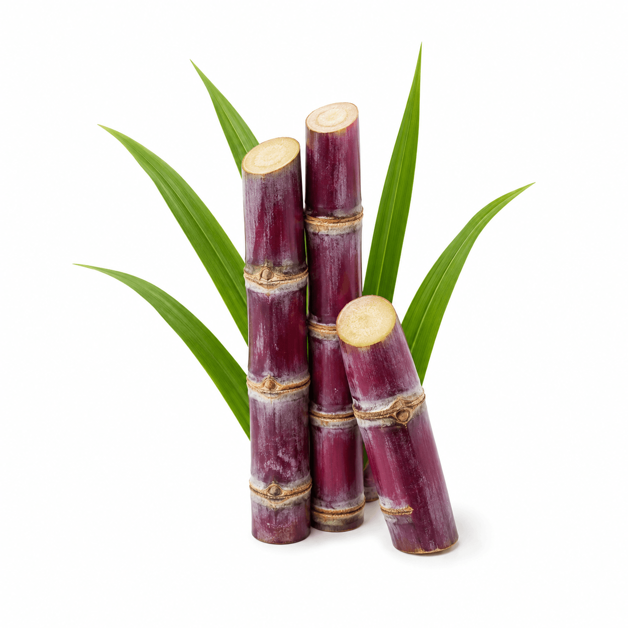 Betaine