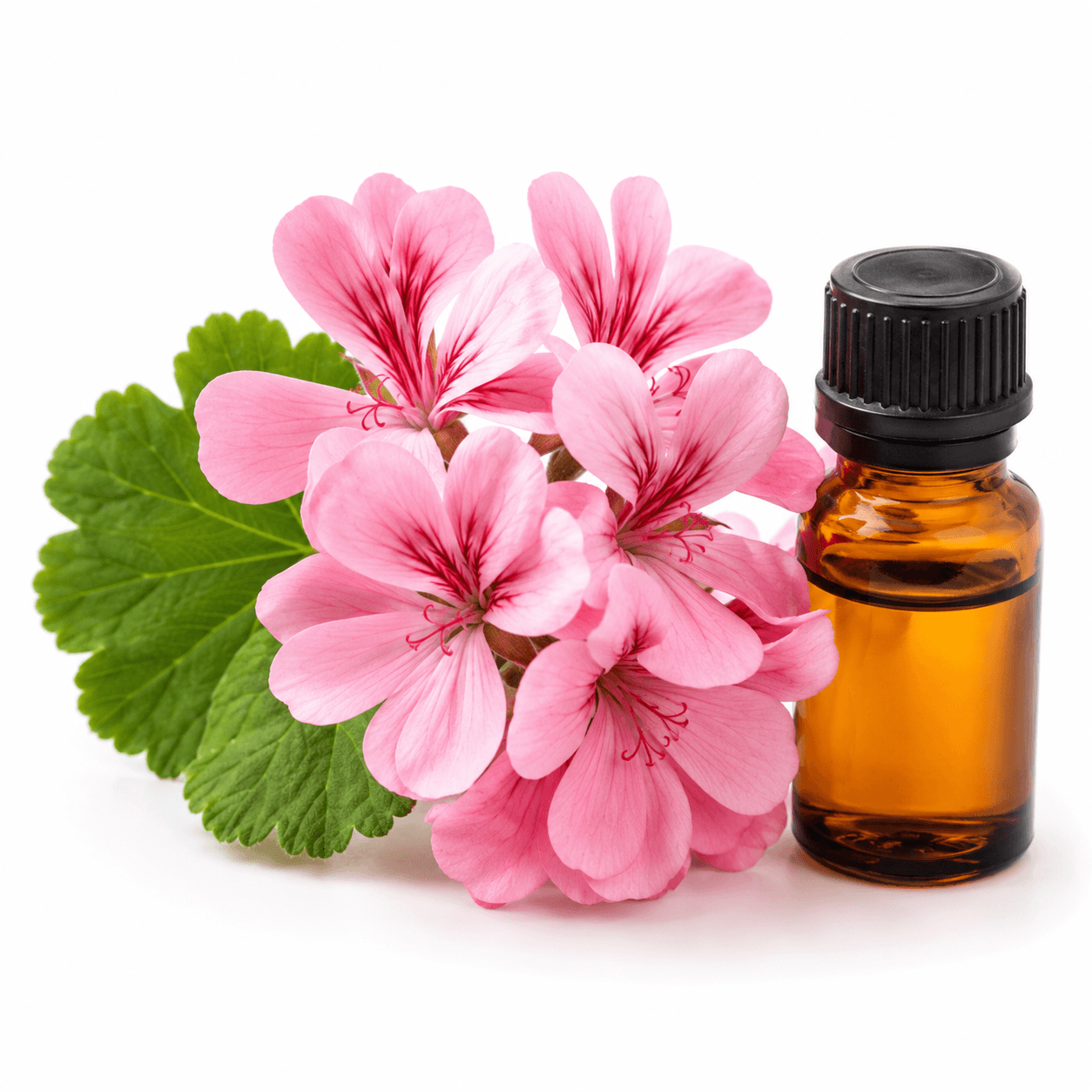 Geranium Essential Oil