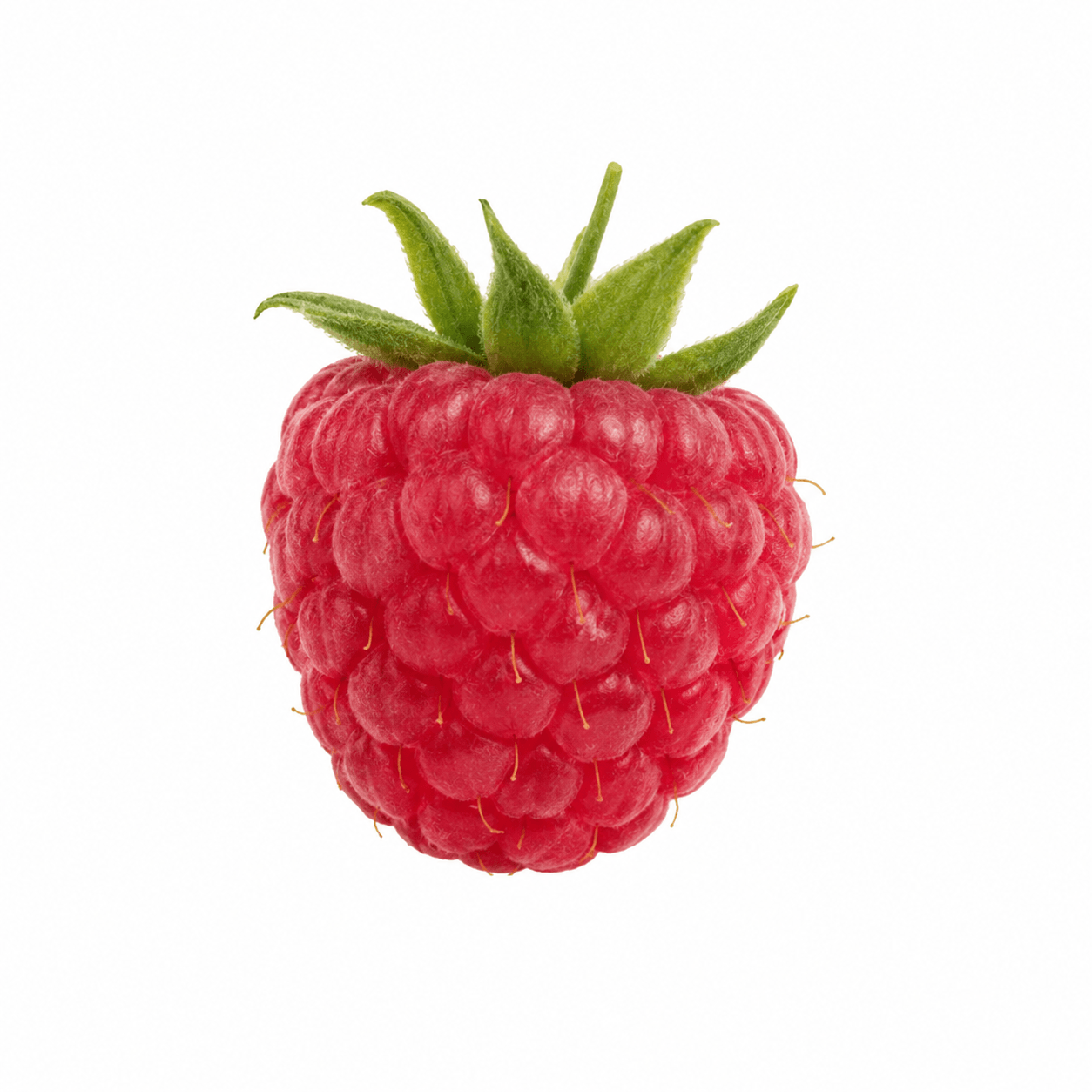 Raspberry