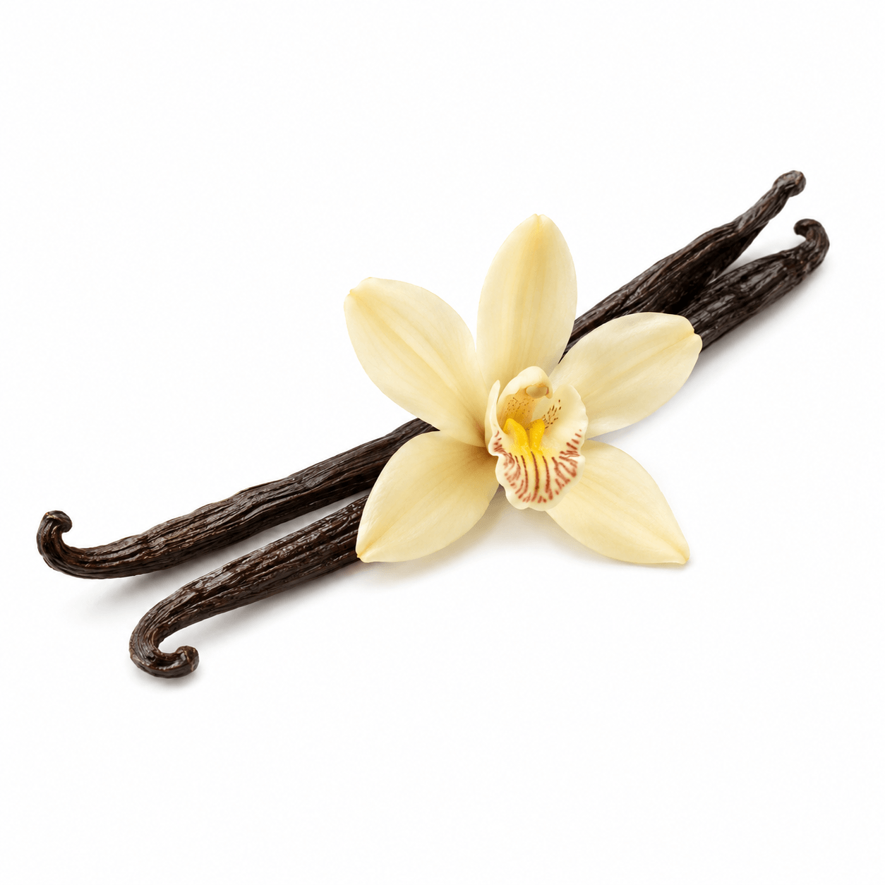 Vanilla Stick