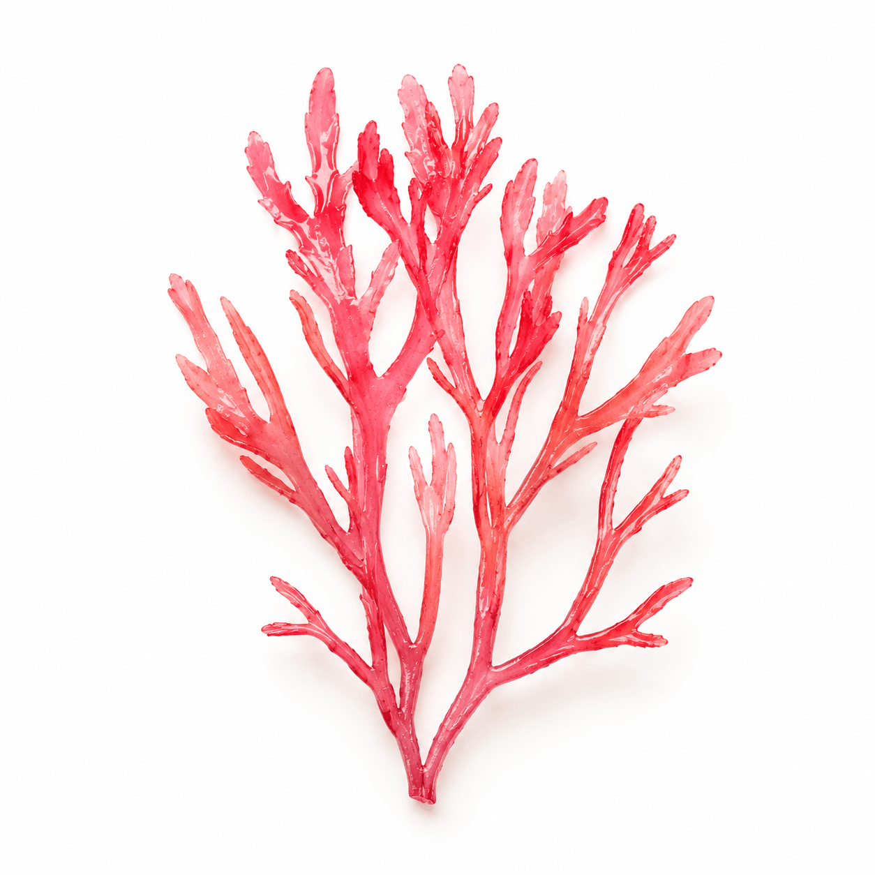 Bicoalgae Extract