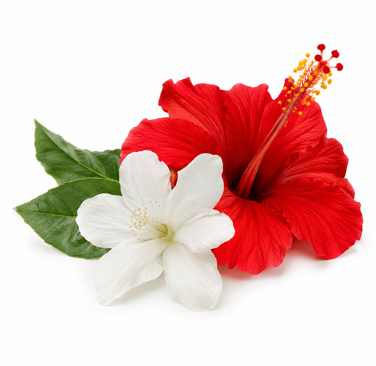 Bioran Flower Acid