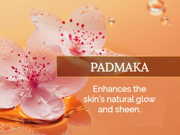 Kumkumadi Face Oil product information